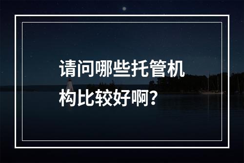 请问哪些托管机构比较好啊？