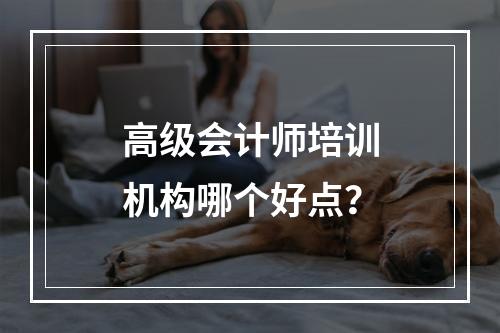 高级会计师培训机构哪个好点？