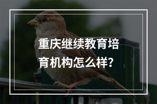 重庆继续教育培育机构怎么样？