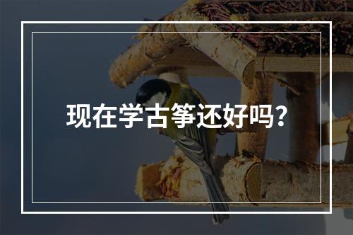 现在学古筝还好吗？