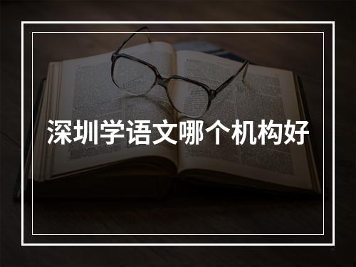 深圳学语文哪个机构好