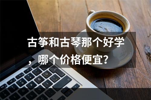 古筝和古琴那个好学，哪个价格便宜？