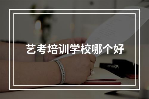 艺考培训学校哪个好