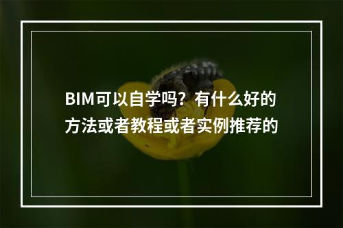 BIM可以自学吗？有什么好的方法或者教程或者实例推荐的