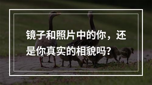 镜子和照片中的你，还是你真实的相貌吗？