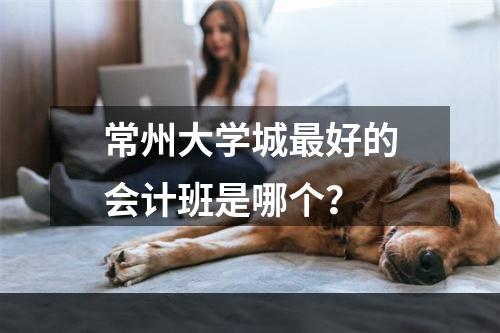 常州大学城最好的会计班是哪个？