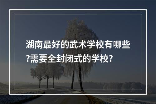 湖南最好的武术学校有哪些?需要全封闭式的学校?