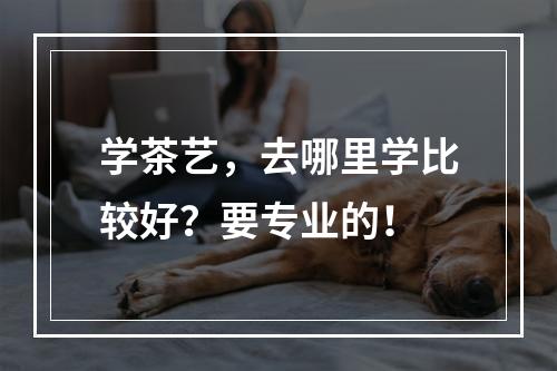 学茶艺，去哪里学比较好？要专业的！