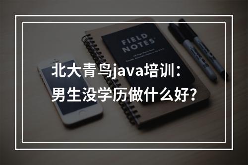 北大青鸟java培训：男生没学历做什么好？