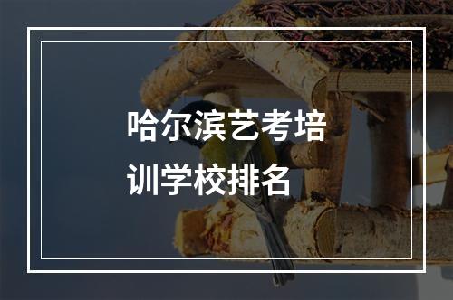 哈尔滨艺考培训学校排名