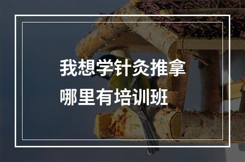 我想学针灸推拿哪里有培训班