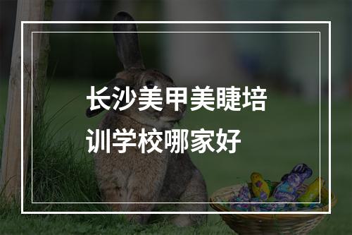 长沙美甲美睫培训学校哪家好