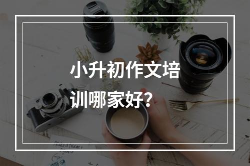 小升初作文培训哪家好？