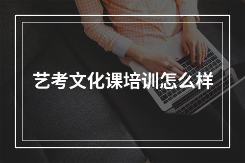 艺考文化课培训怎么样