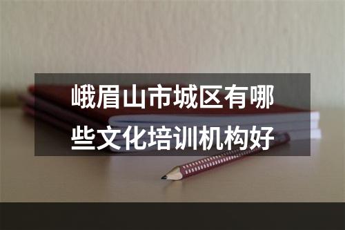 峨眉山市城区有哪些文化培训机构好