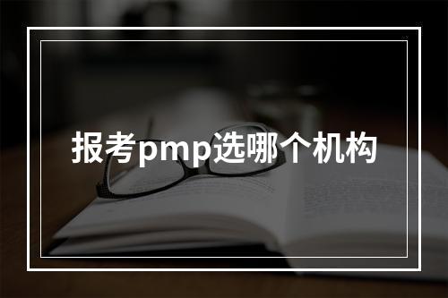 报考pmp选哪个机构