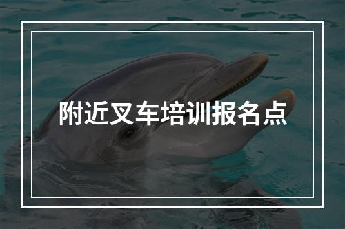 附近叉车培训报名点