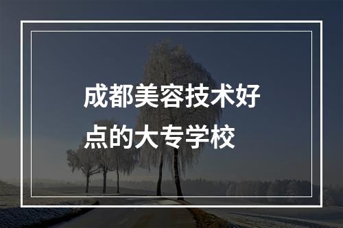 成都美容技术好点的大专学校