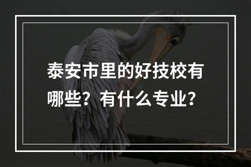 泰安市里的好技校有哪些？有什么专业？