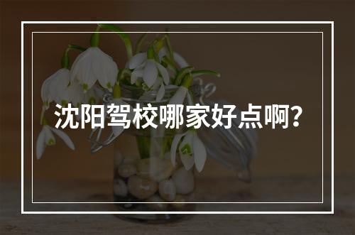 沈阳驾校哪家好点啊？