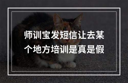 师训宝发短信让去某个地方培训是真是假