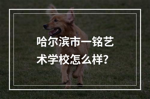 哈尔滨市一铭艺术学校怎么样？