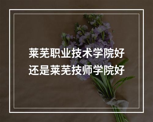 莱芜职业技术学院好还是莱芜技师学院好