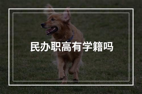 民办职高有学籍吗