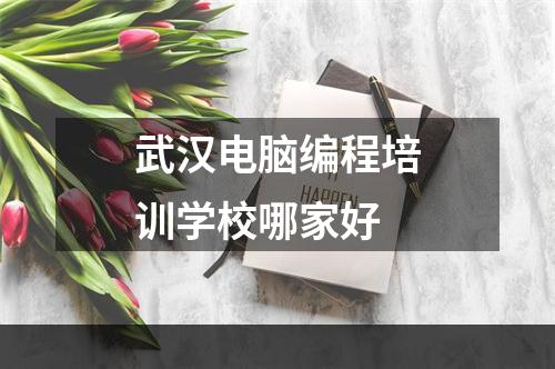 武汉电脑编程培训学校哪家好