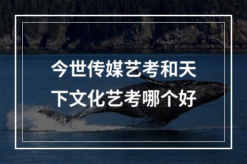 今世传媒艺考和天下文化艺考哪个好