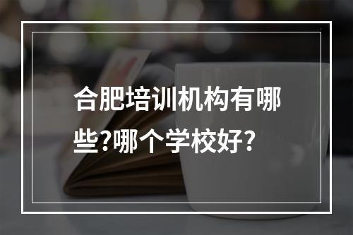 合肥培训机构有哪些?哪个学校好?