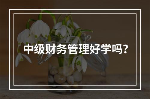 中级财务管理好学吗？