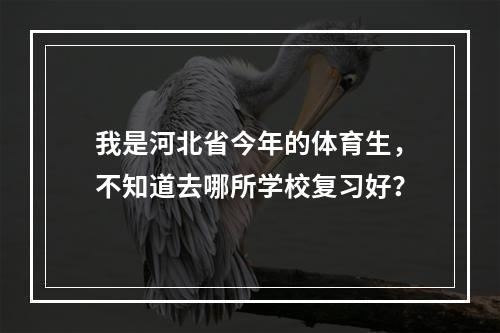 我是河北省今年的体育生，不知道去哪所学校复习好？