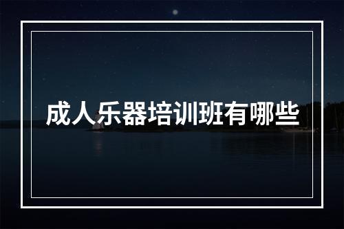 成人乐器培训班有哪些