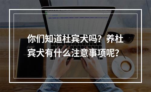 你们知道杜宾犬吗？养杜宾犬有什么注意事项呢？