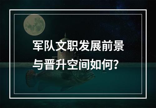 军队文职发展前景与晋升空间如何？