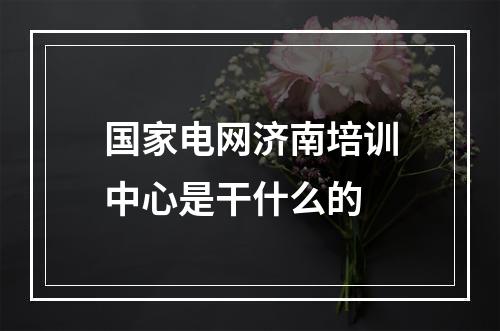 国家电网济南培训中心是干什么的