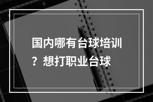 国内哪有台球培训？想打职业台球