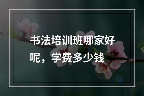 书法培训班哪家好呢，学费多少钱