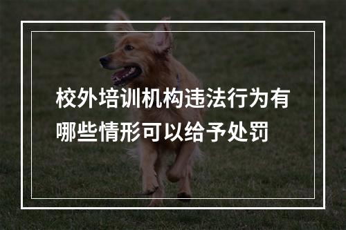 校外培训机构违法行为有哪些情形可以给予处罚