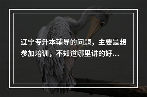 辽宁专升本辅导的问题，主要是想参加培训，不知道哪里讲的好。 我现在在大连。帮忙介绍一下。