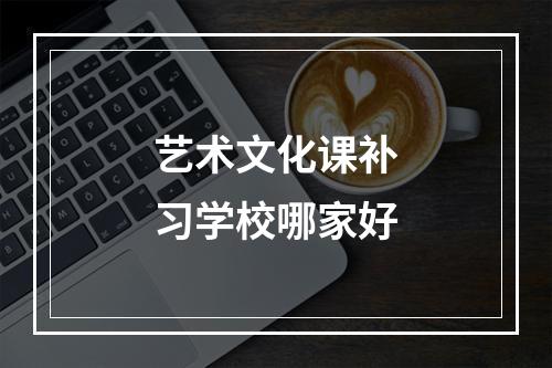 艺术文化课补习学校哪家好