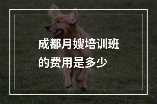 成都月嫂培训班的费用是多少