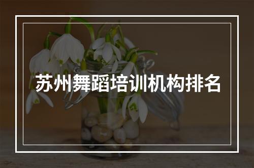 苏州舞蹈培训机构排名