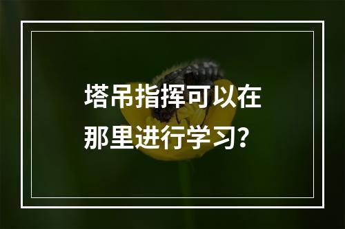 塔吊指挥可以在那里进行学习？