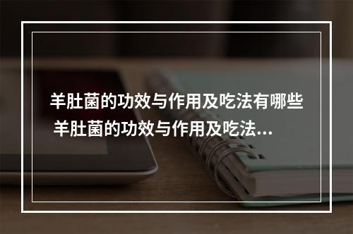 羊肚菌的功效与作用及吃法有哪些 羊肚菌的功效与作用及吃法简单介绍