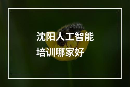 沈阳人工智能培训哪家好