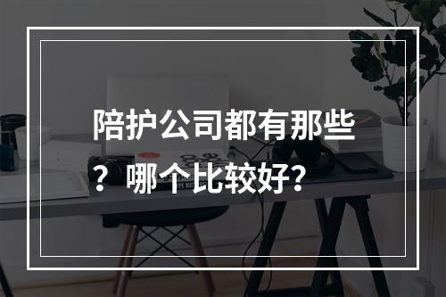 陪护公司都有那些？哪个比较好？