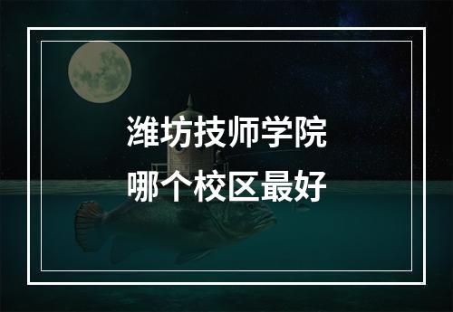 潍坊技师学院哪个校区最好