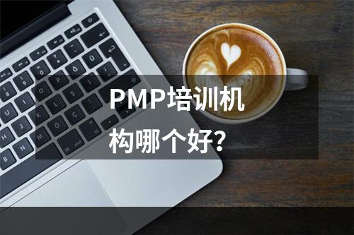 PMP培训机构哪个好？